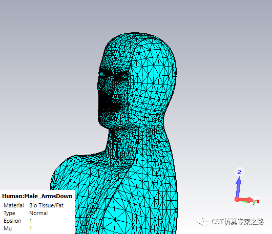 cst软件如何将均匀人体空心2d模型填充3d