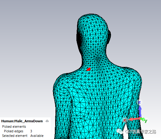 cst软件如何将均匀人体空心2d模型填充3d