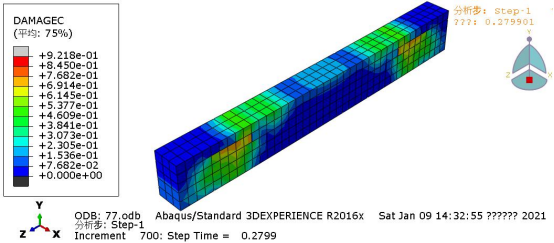 第 700 步时的受压破坏图