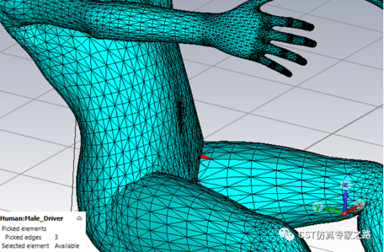 cst软件如何将均匀人体空心2d模型填充3d