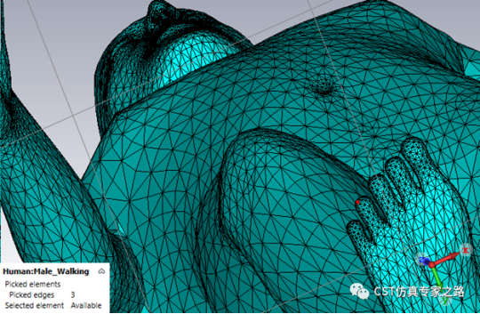 cst软件如何将均匀人体空心2d模型填充3d