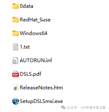 cst软件如何安装和使用ds license server？